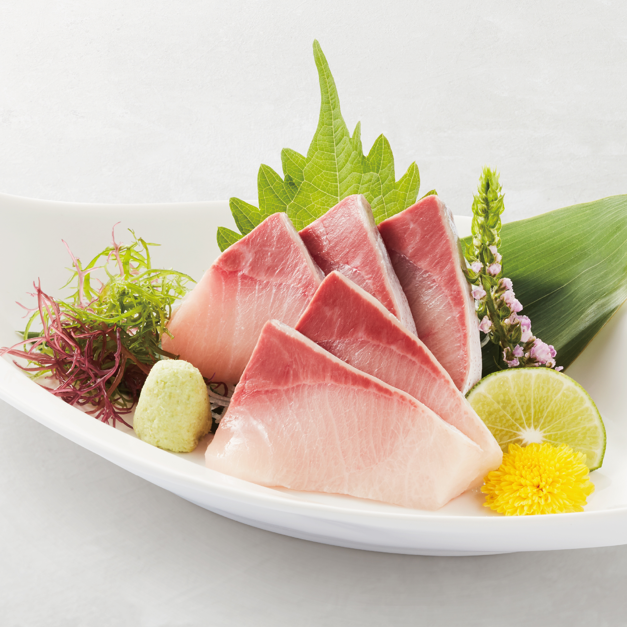 Hamachi Sashimi